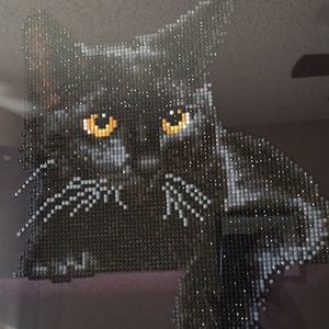 Meet your Posher, Carol